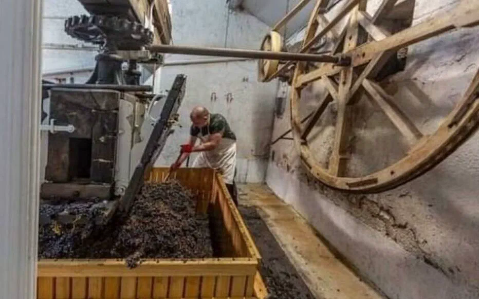 Le Pressoir Ancestral : Une Renaissance après des Décennies d'Hibernation