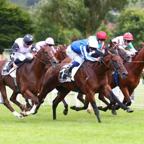 Le Quinté+ du jour à Dieppe : Batal Youmzain fait le show