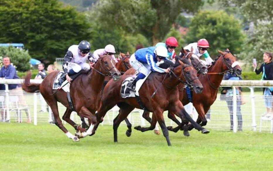 Le Quinté+ du jour à Dieppe : Batal Youmzain fait le show