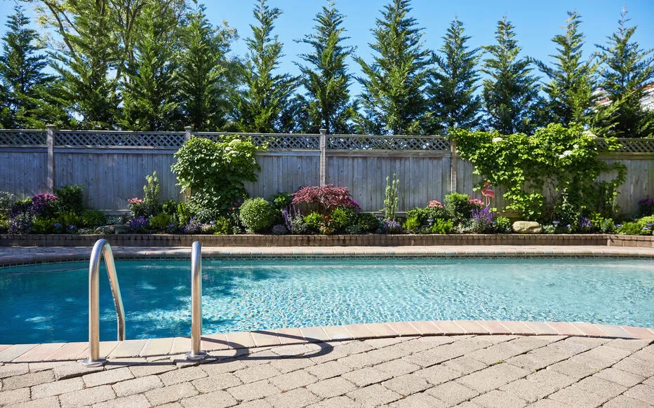 Les arbres à éviter autour d'une piscine privée