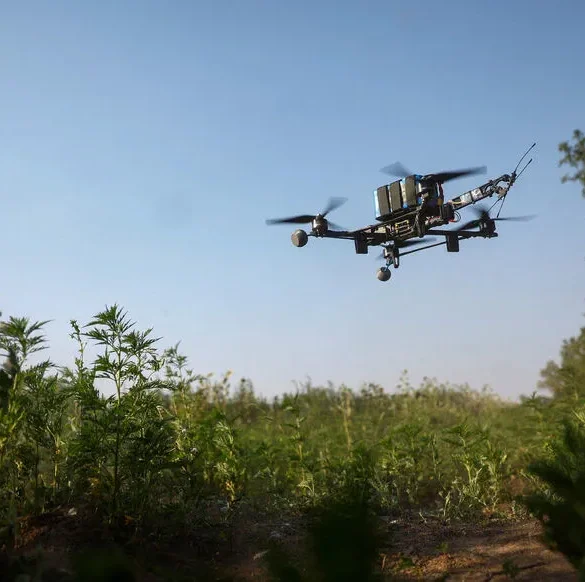 Les drones, nouvelle menace pour les infrastructures stratégiques allemandes