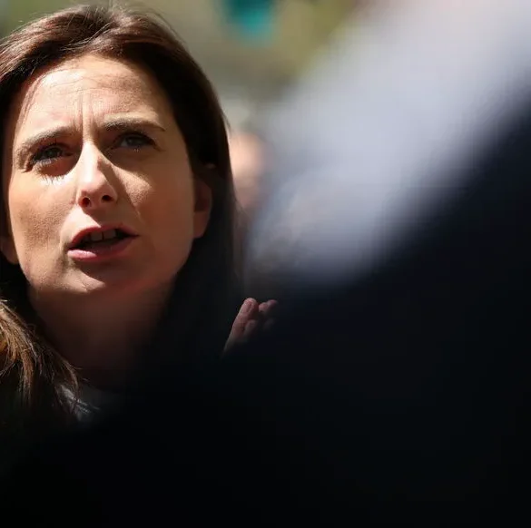 Les écologistes appellent Emmanuel Macron à agir pour Gaza