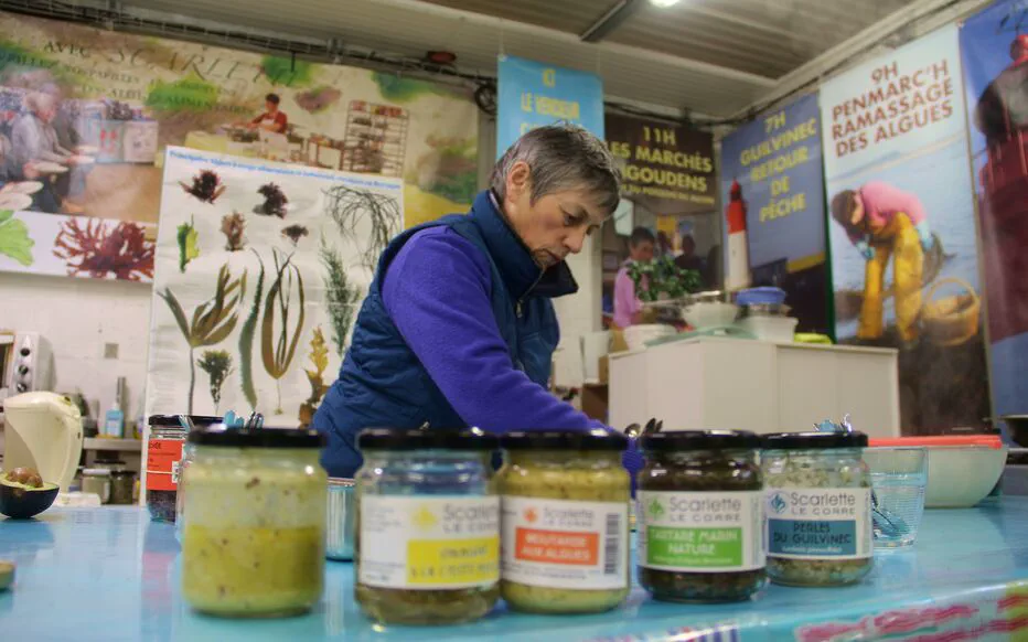 Les secrets des algues : l'art de la ramasseuse d'algues