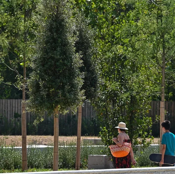 Lyon fait dormir ses habitants dans un parc pendant la vague de chaleur