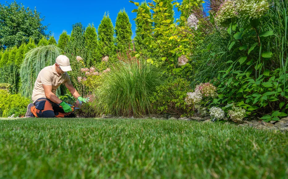 Menace sur le crédit d'impôt pour les petits travaux de jardinage