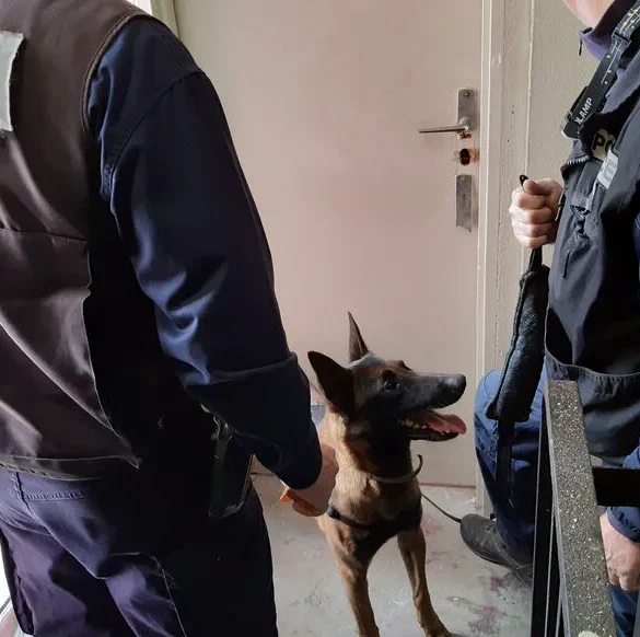 Opération de police à Compiègne : découverte de stupéfiants et d'armes