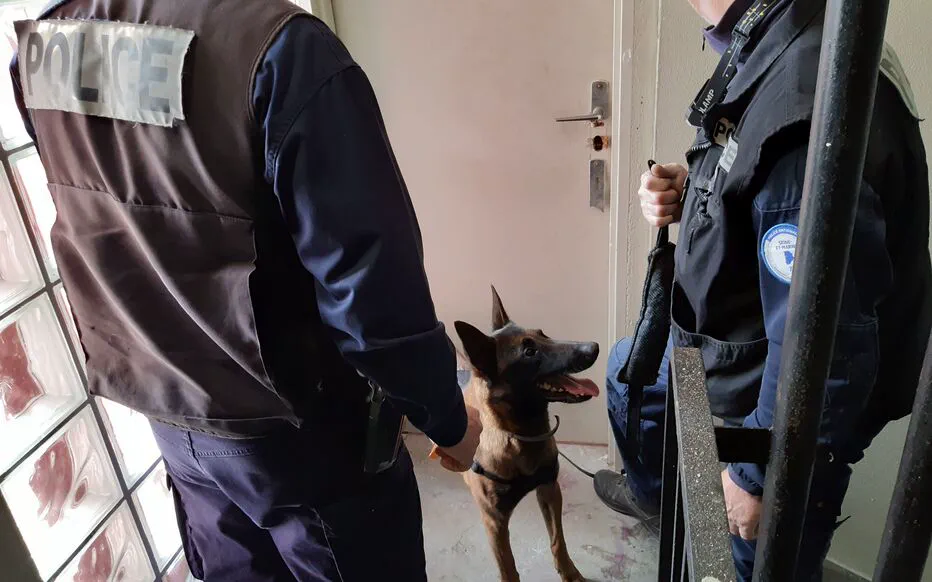 Opération de police à Compiègne : découverte de stupéfiants et d'armes