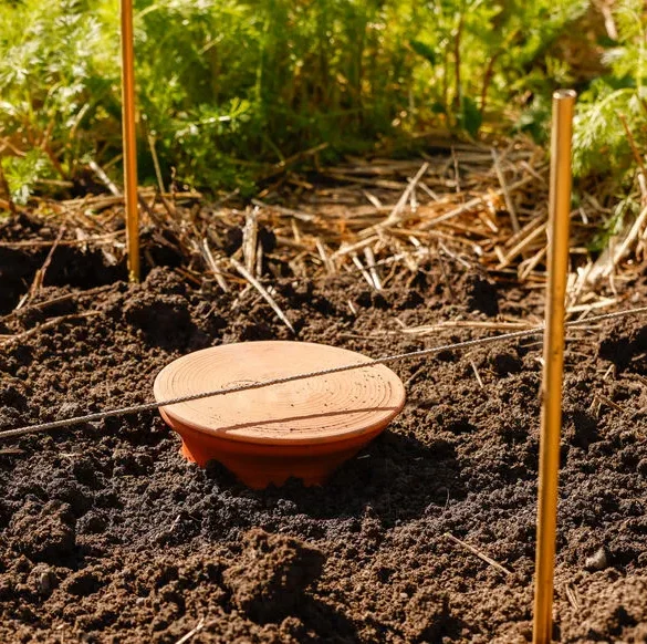 Préparez vos jardins à l'été : maîtrisez l'art de l'arrosage
