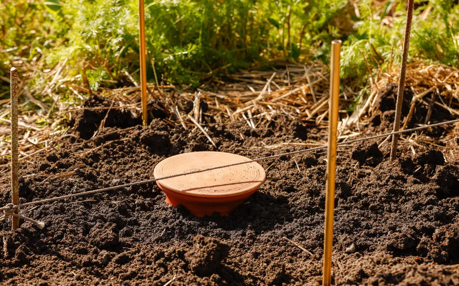 Préparez vos jardins à l'été : maîtrisez l'art de l'arrosage