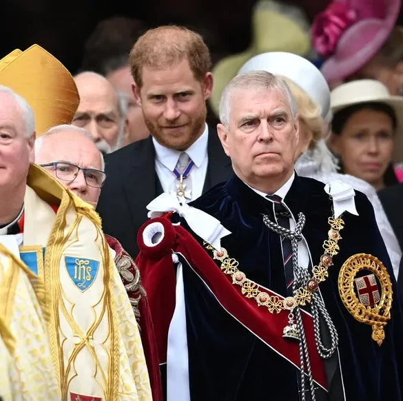 Prince Harry et le prince Andrew : une querelle difficile
