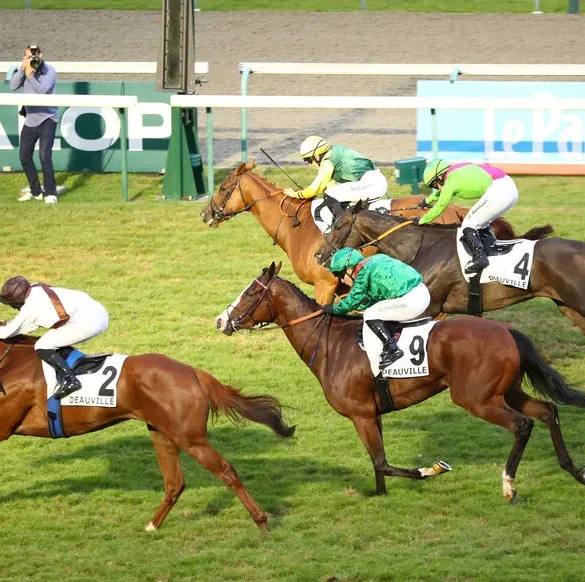 Quinté+ du meeting estival à Deauville : Ambre Molins remporte le Grand Prix des Femmes Jockeys