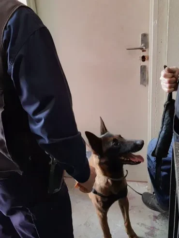 Renfort policier massif pour interpellations à Savigny-le-Temple