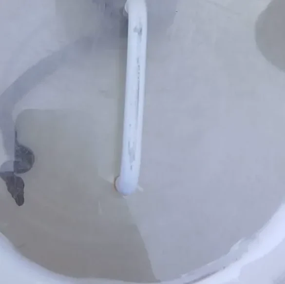 Serpent à Cormeilles : un animal errant provoque la surprise des habitants