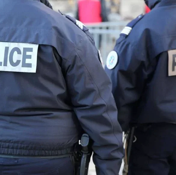 Un adolescent arrêté après avoir mis le feu à des buissons dans le quartier des Hauts de Massane