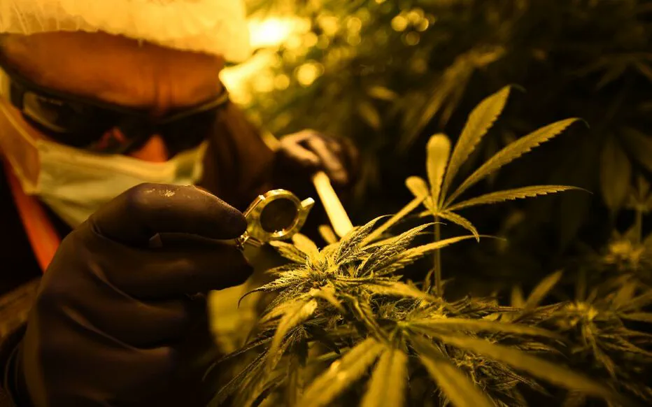 Un evadu de l'hopital de Villejuif : la police l'interpele chez lui au Plessis-Robinson