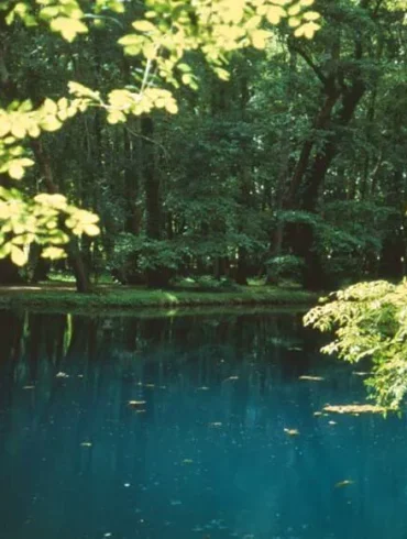Un havre de paix en Charente-Maritime : la magie des Fontaines Bleues du château de Beaulon