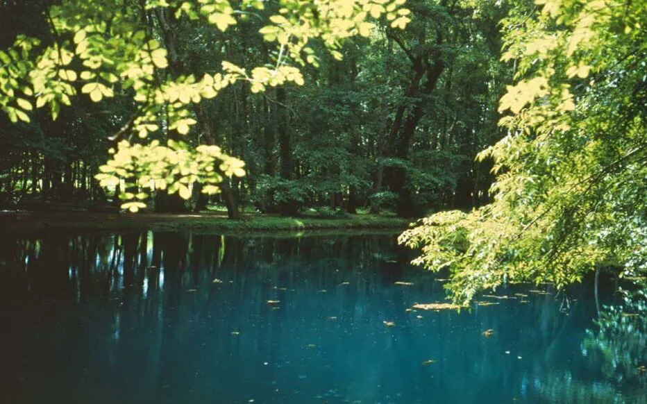 Un havre de paix en Charente-Maritime : la magie des Fontaines Bleues du château de Beaulon