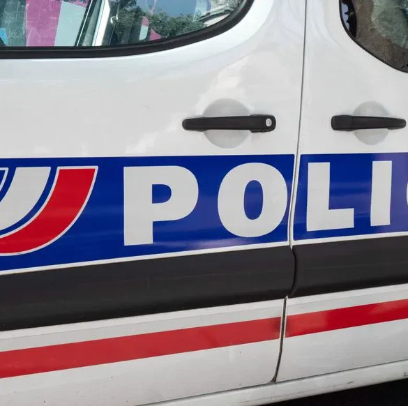 Un homme condamné pour avoir renversé un policier avec sa voiture.
