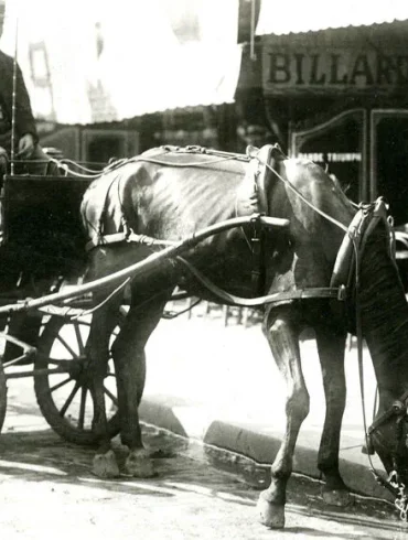 Un siècle de vagues de chaleur : de Toulouse à Paris
