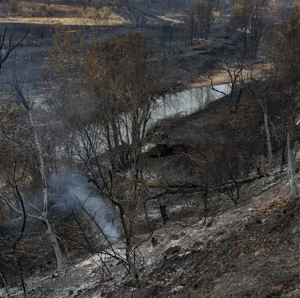 Une septuagénaire soupçonnée d'incendies criminels en France