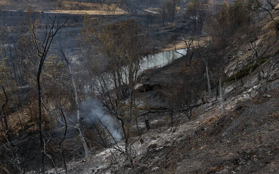 Une septuagénaire soupçonnée d'incendies criminels en France