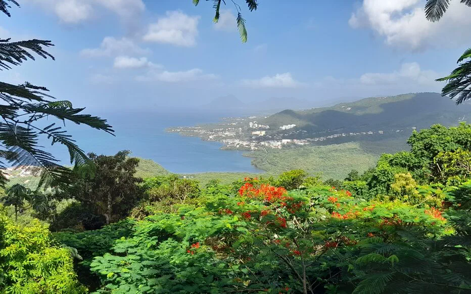 An Mao Héritage : Un Jardin de Culture Martiniquaise