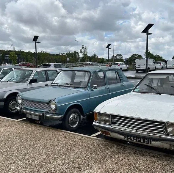 Découverte surprenante : une collection de voitures anciennes garée sur une aire de covoiturage