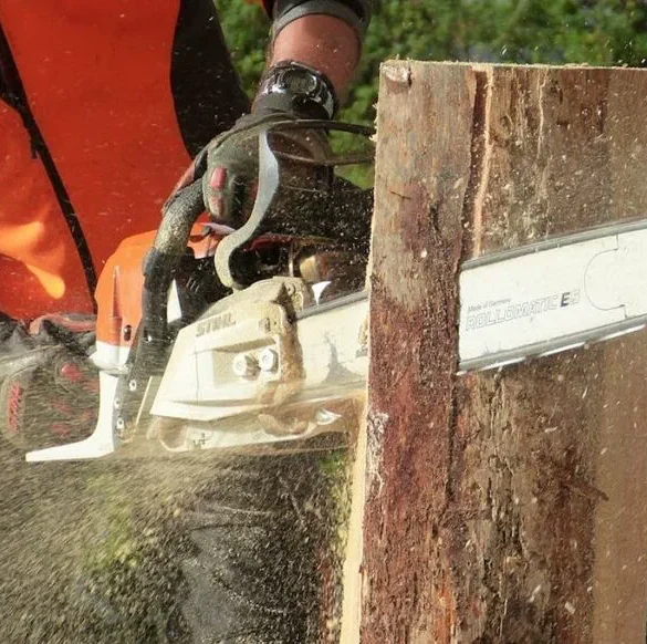 Entretenir son jardin avec la tronçonneuse électrique Scheppach CSE2600 de Cdiscount