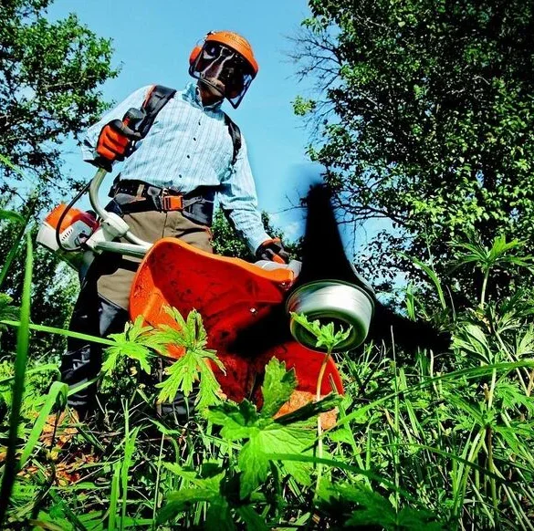 Entretien du jardin : Cdiscount propose des outils à petit budget