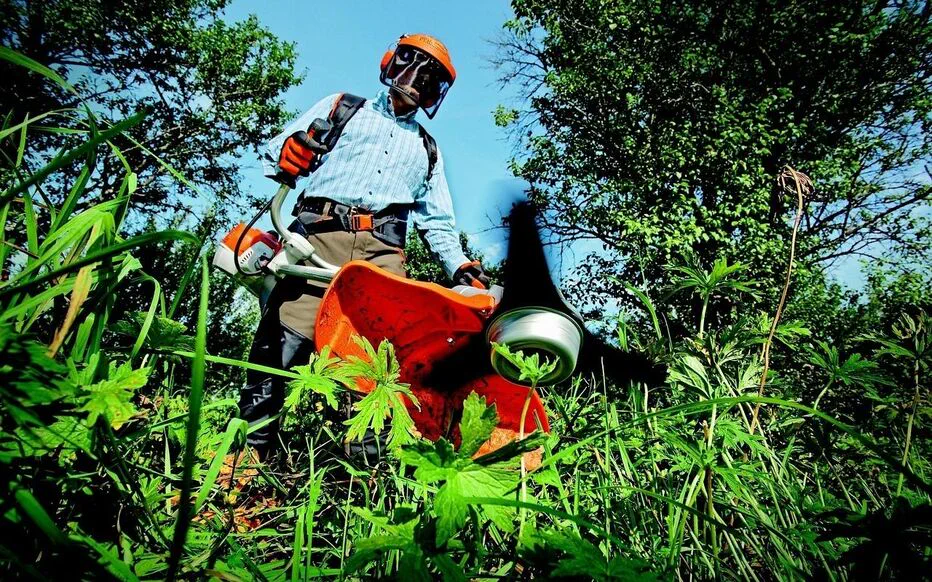 Entretien du jardin : Cdiscount propose des outils à petit budget