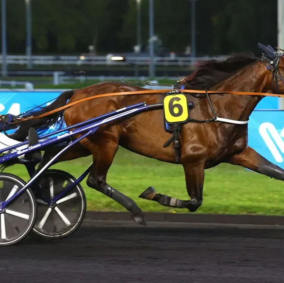 Killer Meslois surprend dans le Prix Bruna