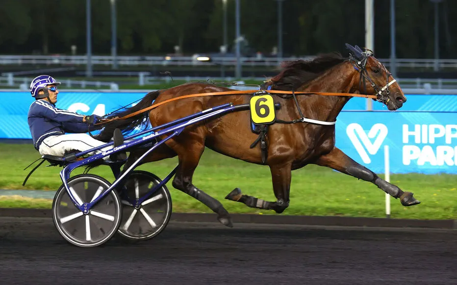 Killer Meslois surprend dans le Prix Bruna