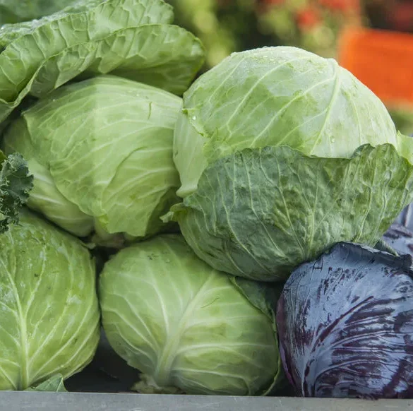 La douce transition : les merveilles de septembre