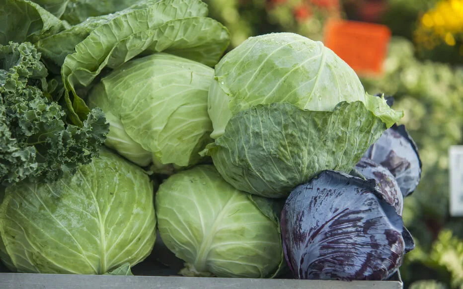 La douce transition : les merveilles de septembre