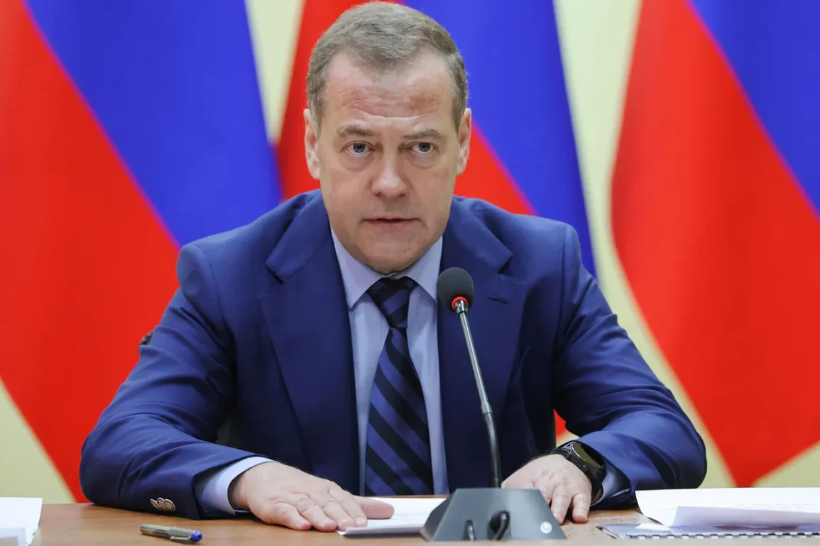 La Finlande et l'OTAN : Medvedev met en garde contre des mesures militaires