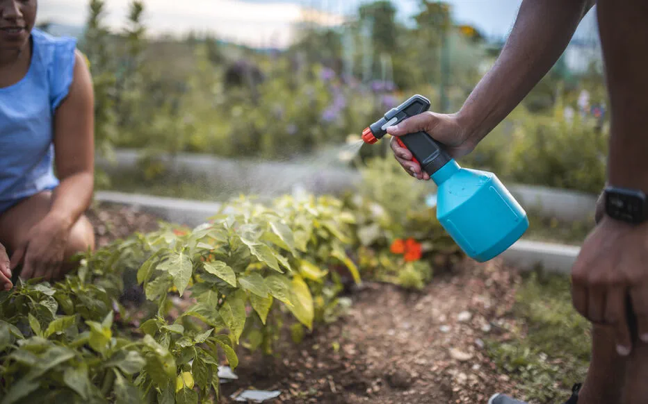 La Kaolinite : Un Pouvoir Naturel pour Protéger Votre Jardin