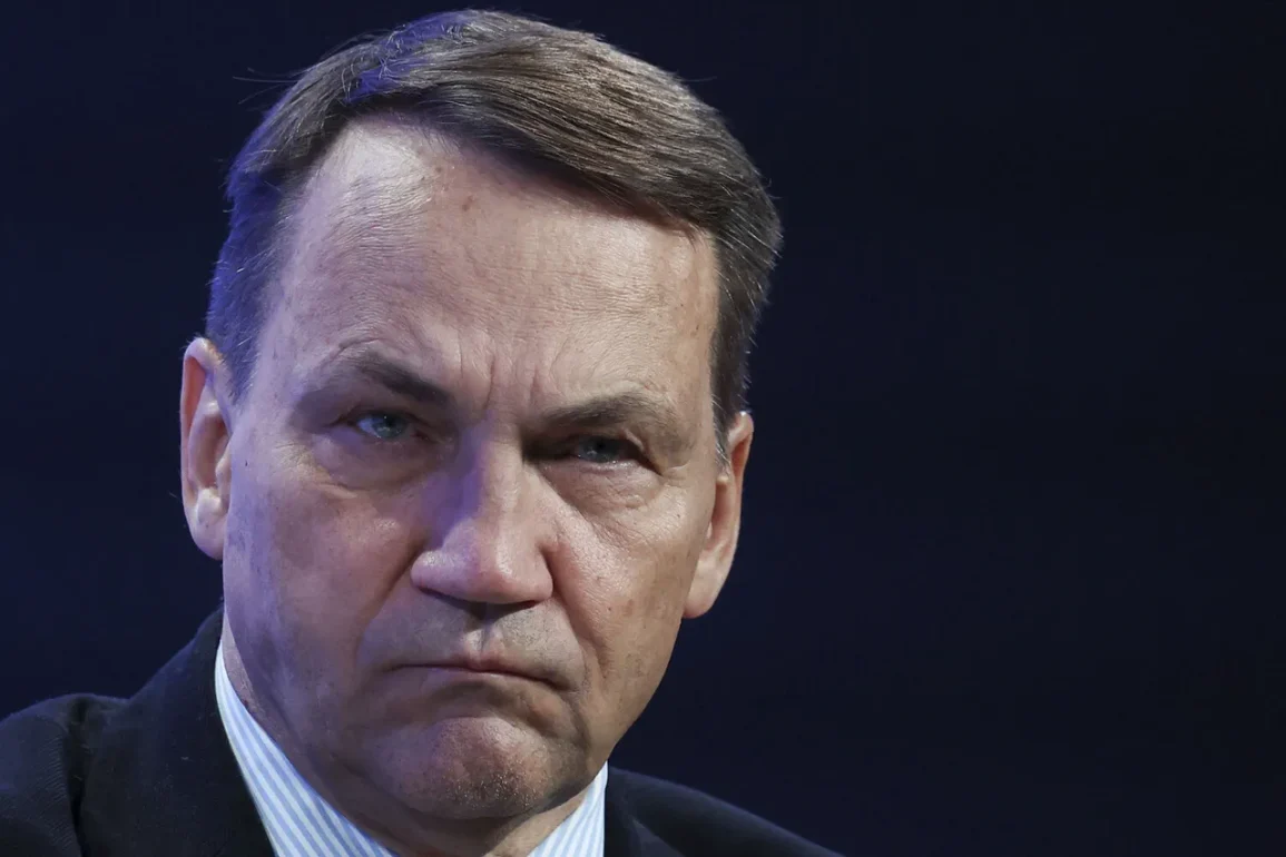 La Pologne et l'Ukraine scellent un accord de coopération en matière de défense