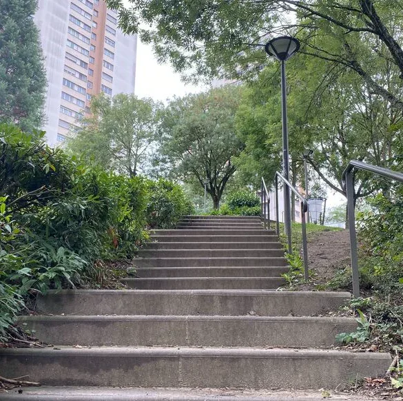 La sécurité des enfants en priorité : l'histoire de Nora et de ses passages cloutés