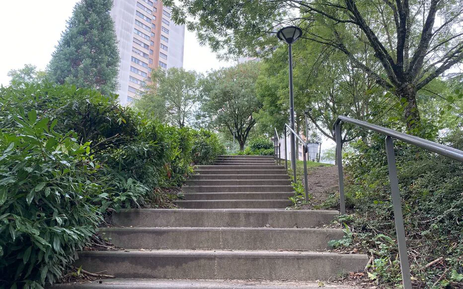 La sécurité des enfants en priorité : l'histoire de Nora et de ses passages cloutés