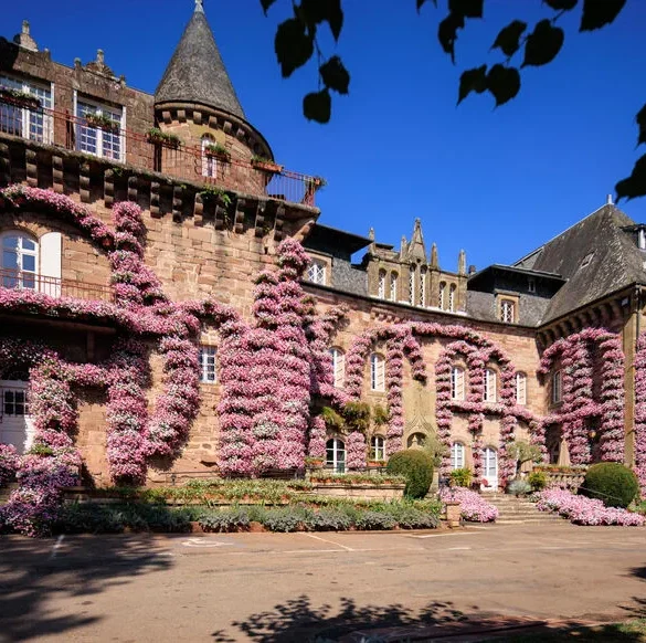 Le Château de Varetz se Parfume aux Fleurs de Pétunia