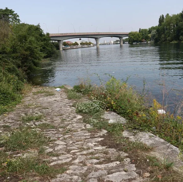 Le tueur en série de Choisy-le-Roi : une énigme non résolue