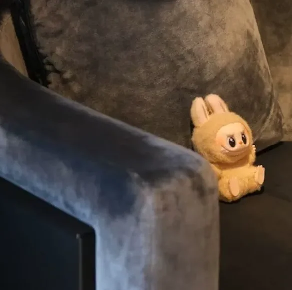 Les figurines Labubu, un nouveau passe-temps sur AliExpress