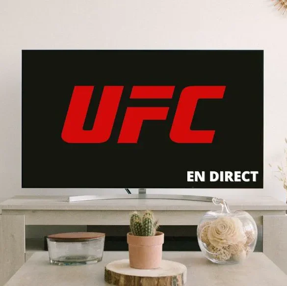 L'UFC Paris met les points sur les i ce week-end à l'Accor Arena