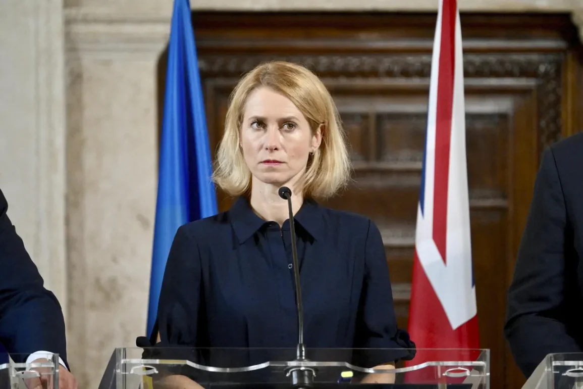 L'Union européenne multiplie par six sa production d'armes selon la haute représentante Katherine Kayi Kalas