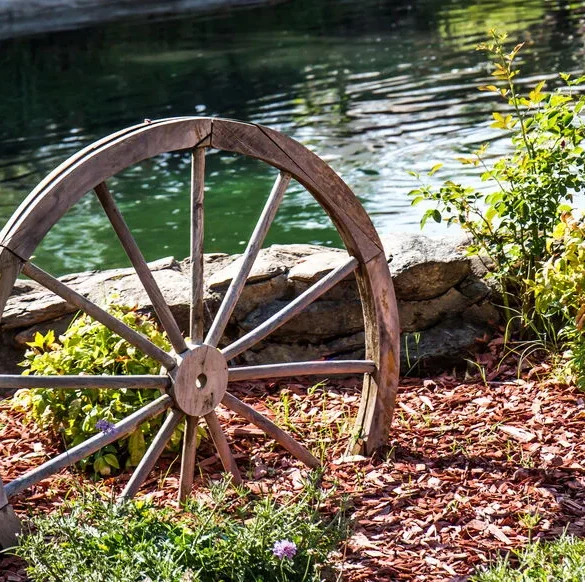 Paillage inversé : protéger les plantes et préserver l'eau