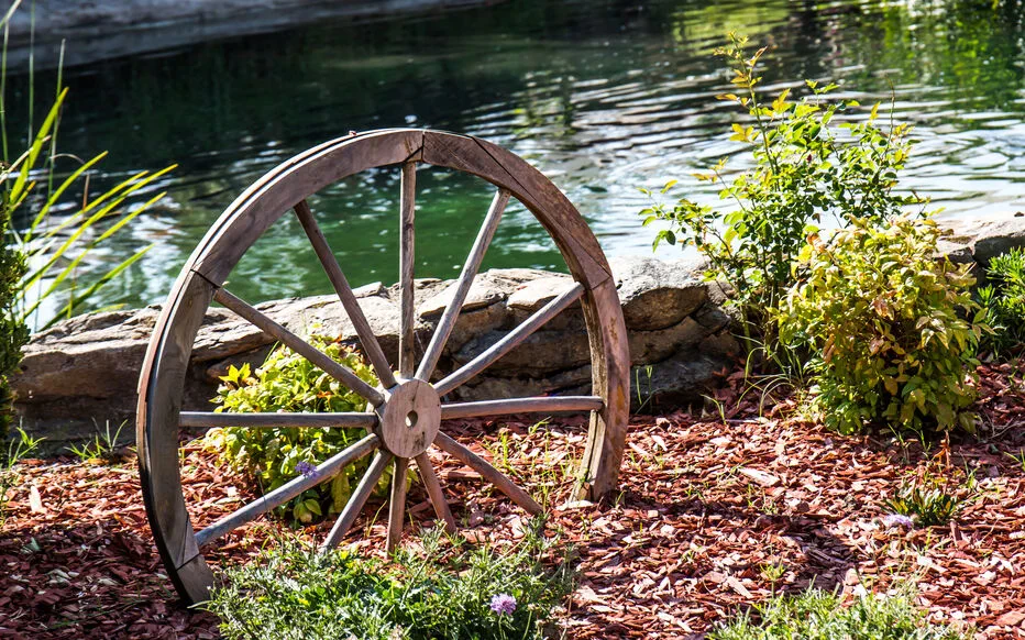 Paillage inversé : protéger les plantes et préserver l'eau