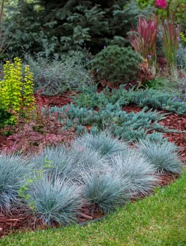 Réinventer le jardinage : faire face à la sécheresse et aux terrains difficiles