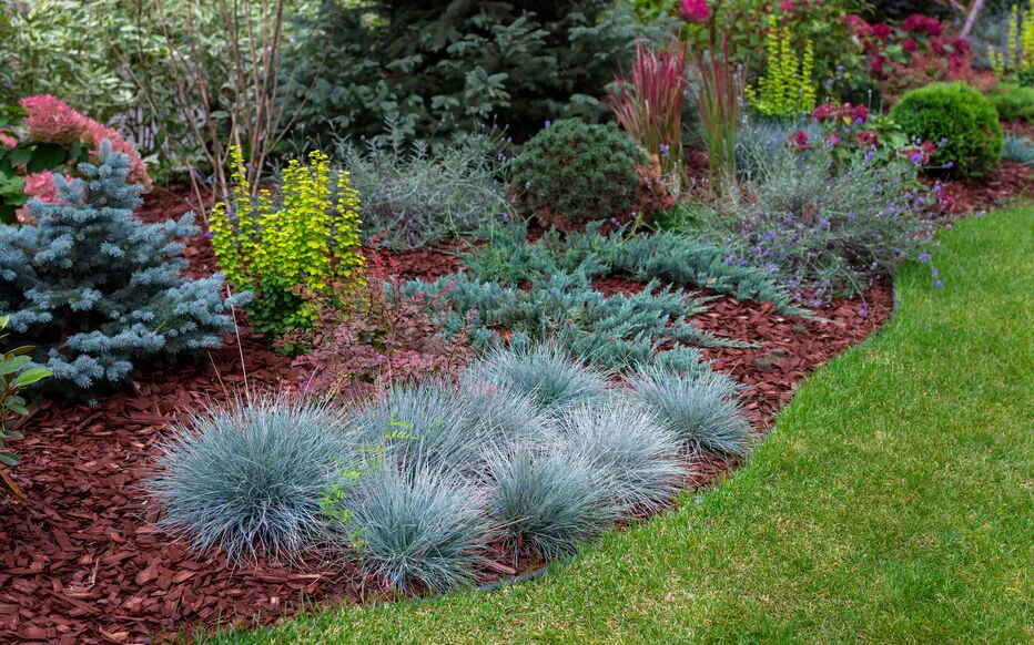 Réinventer le jardinage : faire face à la sécheresse et aux terrains difficiles
