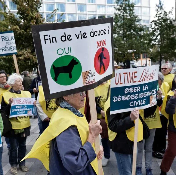 Seven Former Professionals on Trial for Assisted Suicide