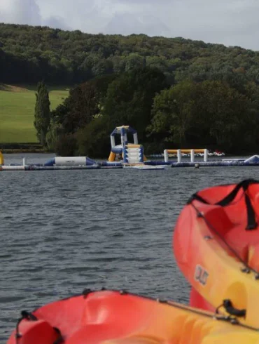 Un canard s'évade du lac de Pont-l'Évêque, favorisé par la présence de cyanobactéries